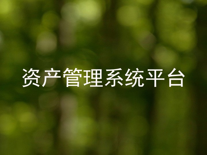 资产管理系统平台