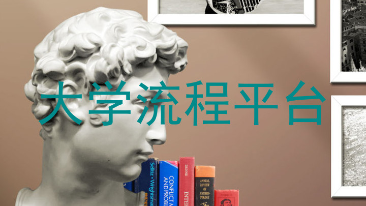 大学流程平台