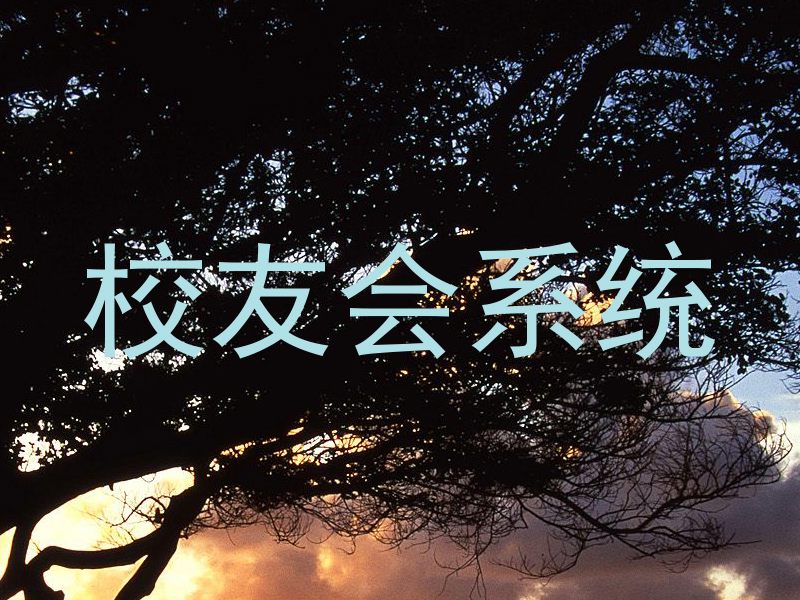 校友会系统
