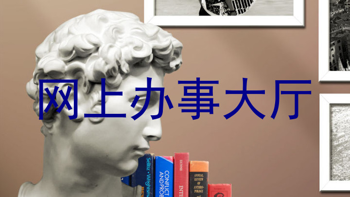 网上办事大厅