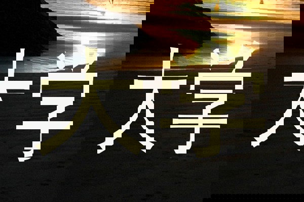 大学