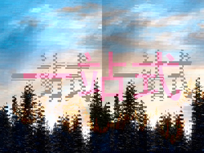 一站式