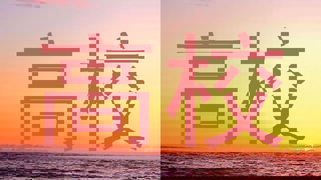 高校