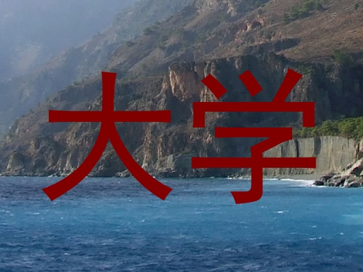 大学
