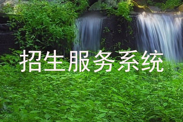 招生服务系统