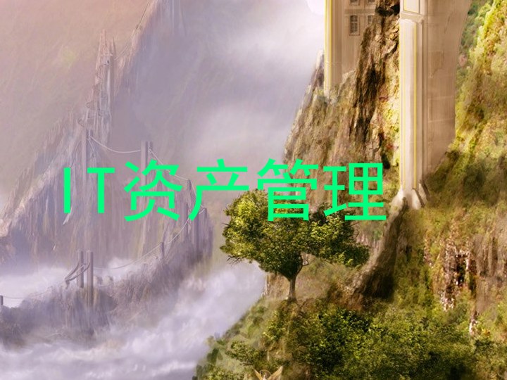 IT资产管理