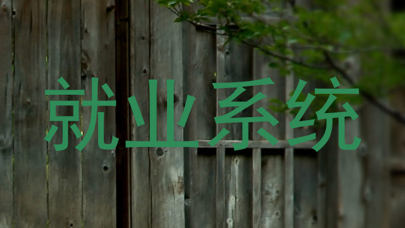就业系统