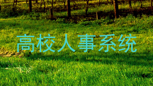 高校人事系统