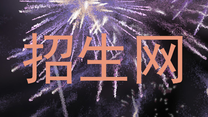 招生网