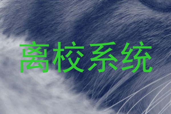 离校系统