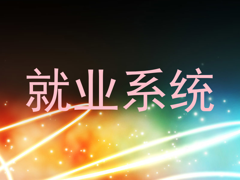 就业系统