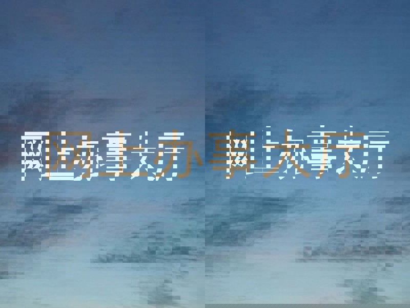 网上办事大厅