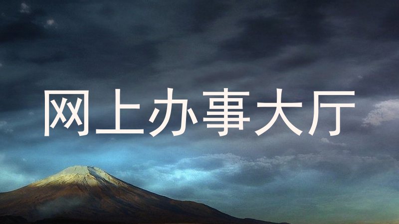 网上办事大厅
