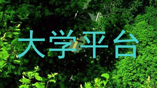大学平台