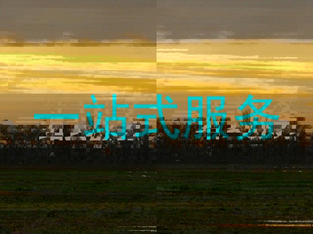 一站式服务