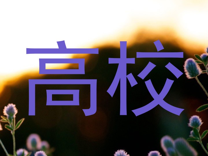 高校