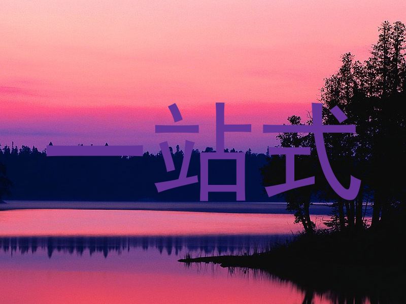 一站式