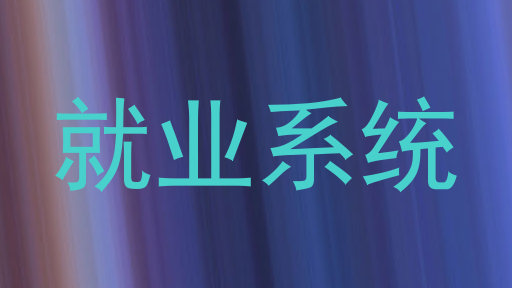 就业系统