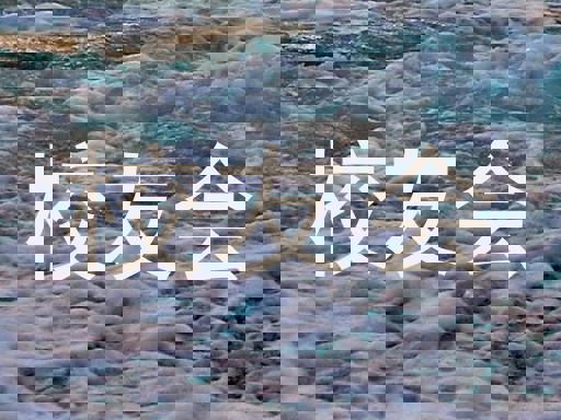 校友会