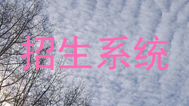招生系统