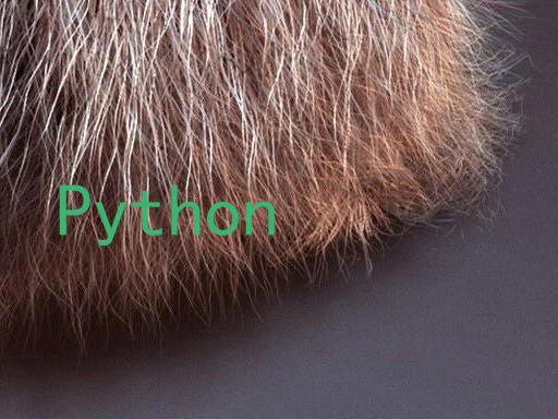 Python
