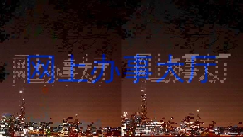网上办事大厅
