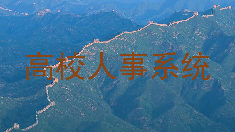 高校人事系统