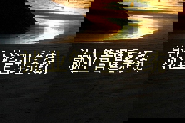 就业管理系统