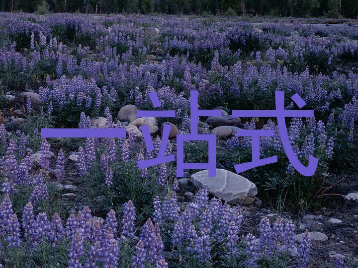 一站式