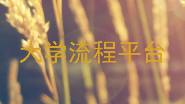 大学流程平台