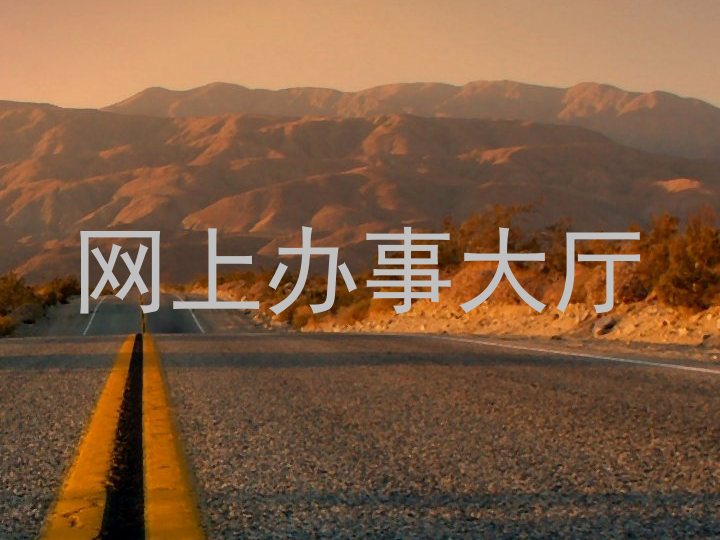 网上办事大厅