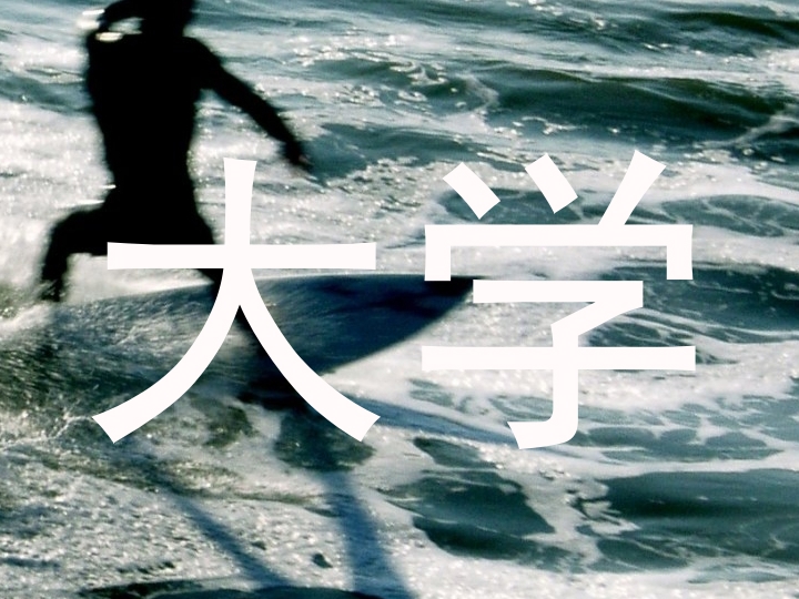 大学