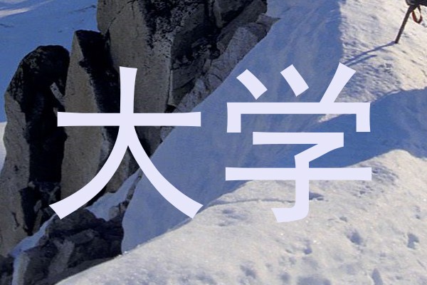 大学