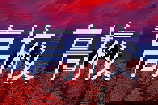 高校