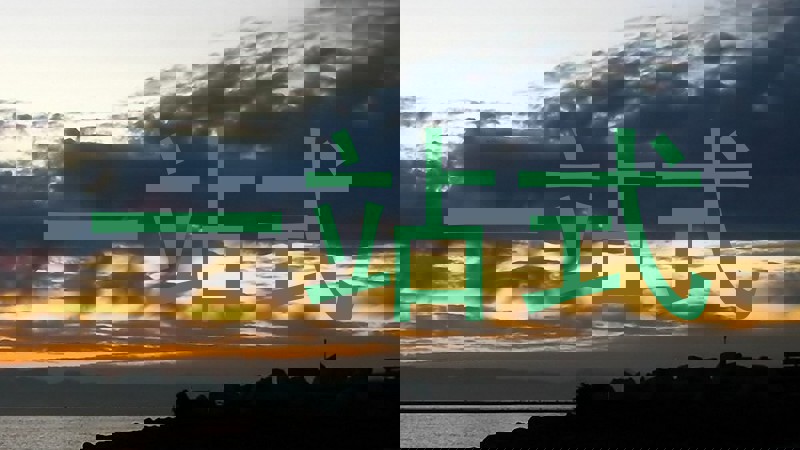 一站式