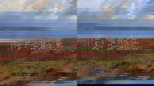 IT资产管理系统