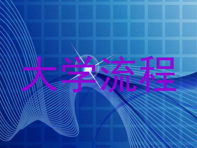 大学流程