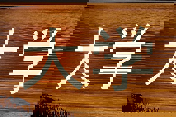 大学