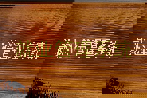 就业管理系统