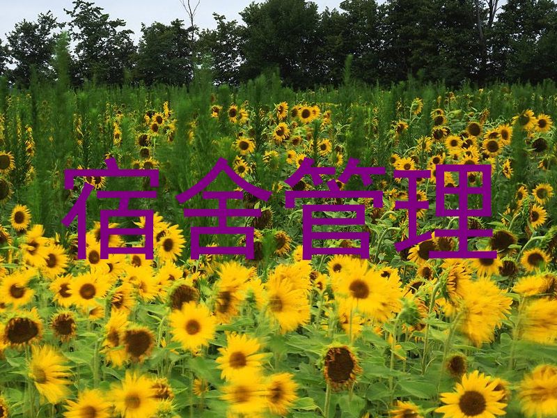 宿舍管理