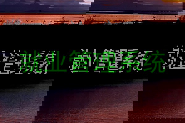 就业管理系统