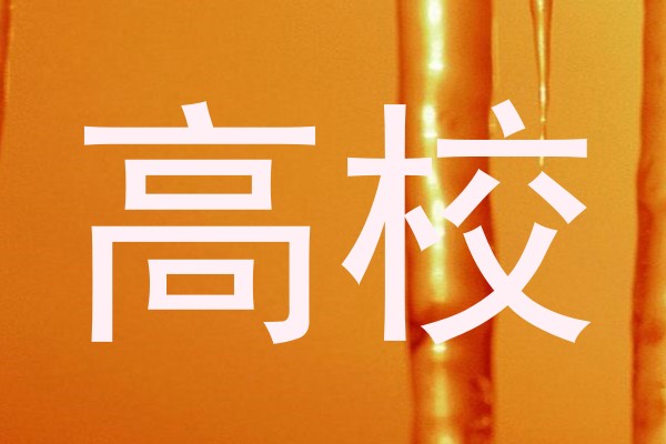 高校