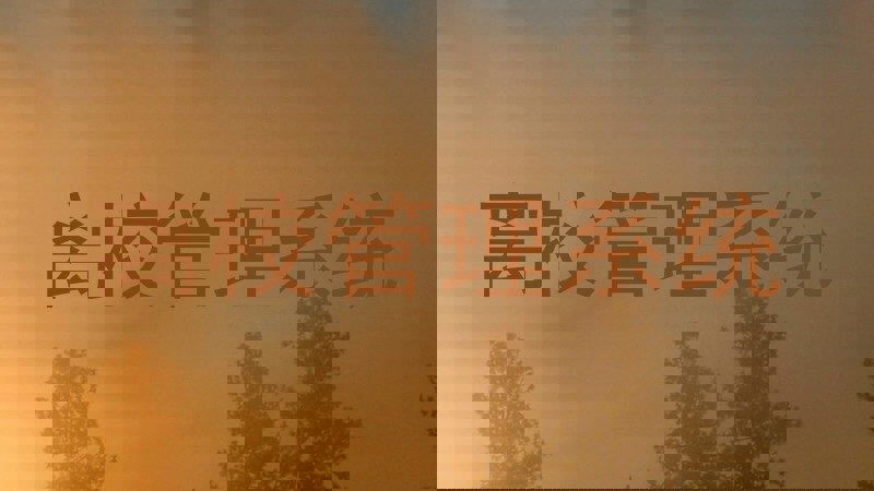 离校管理系统