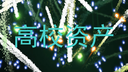 高校资产