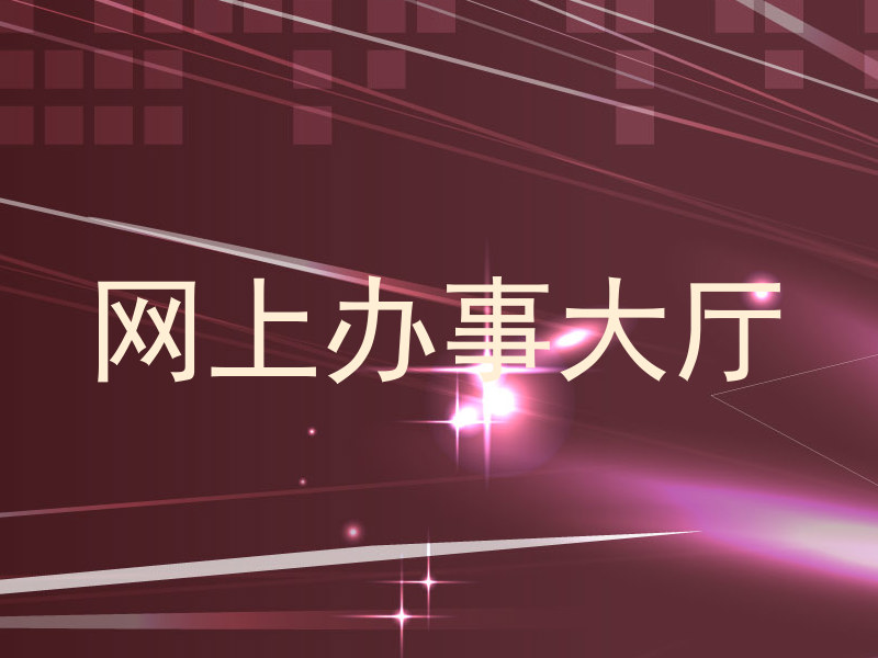 网上办事大厅