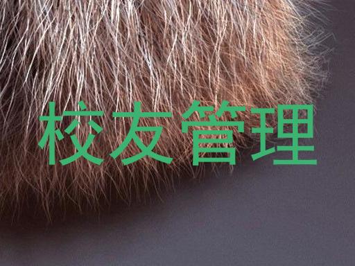 校友管理