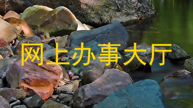 网上办事大厅