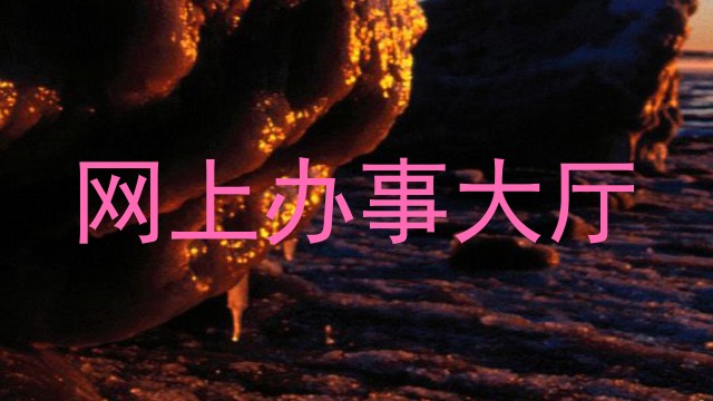 网上办事大厅