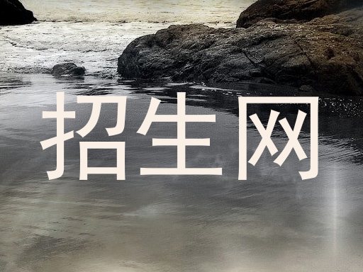 招生网