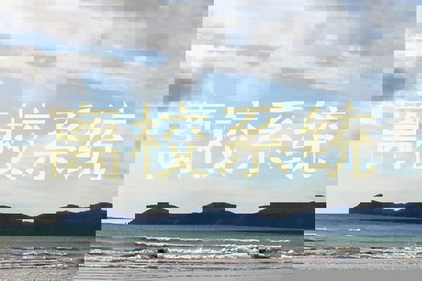 离校系统